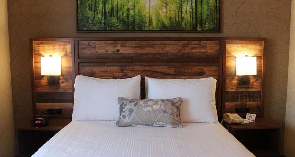 Best Western Plus Valemount Inn & Suites Rum bild